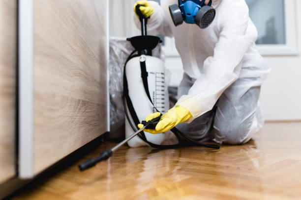 Best Pest Removal Services  in Staples, CT