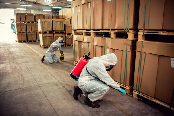 Best Affordable Pest Control Services  in Staples, CT