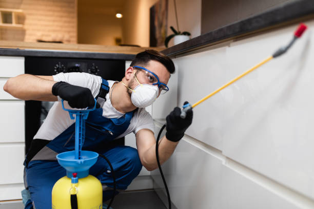 Best Commercial Pest Control Services  in Staples, CT