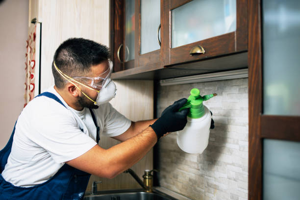 Professional Pest Control in Staples, CT