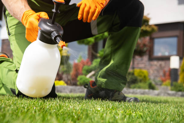 Best Residential Pest Control  in Staples, CT