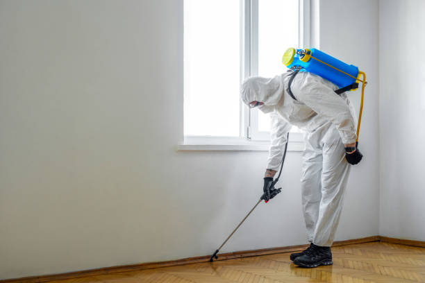 Best Affordable Pest Control Services  in Staples, CT