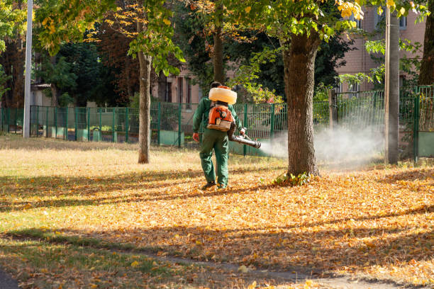 Staples, CT Pest Control Company